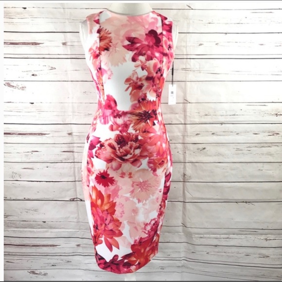 Calvin Klein Dresses & Skirts - NWT Calvin Klein Women Sheath Dress Floral Size 6